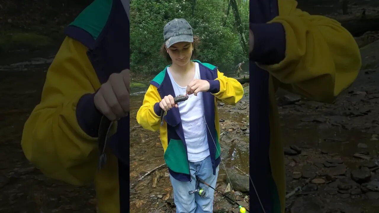 1st trout in the mountains on the chattahoochee River #trout #fishing #catching #chattahoochee