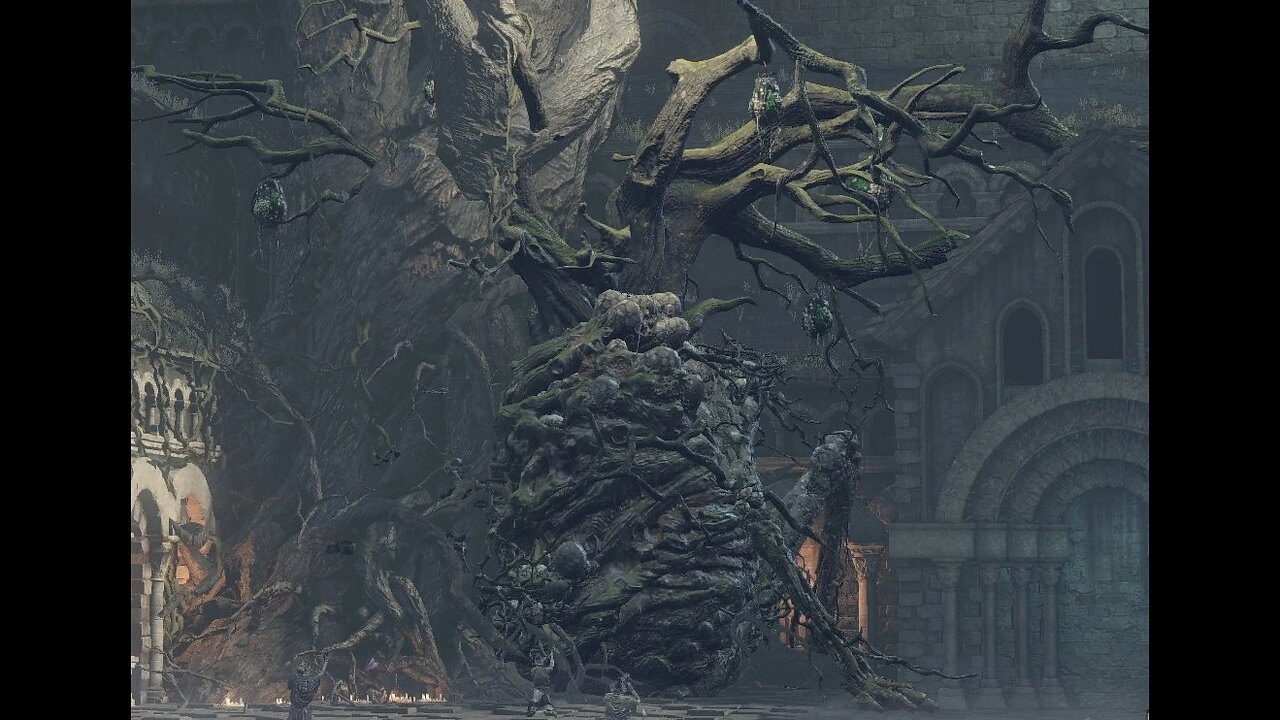 Dark Souls 3 | Cursed Rotted Greatwood