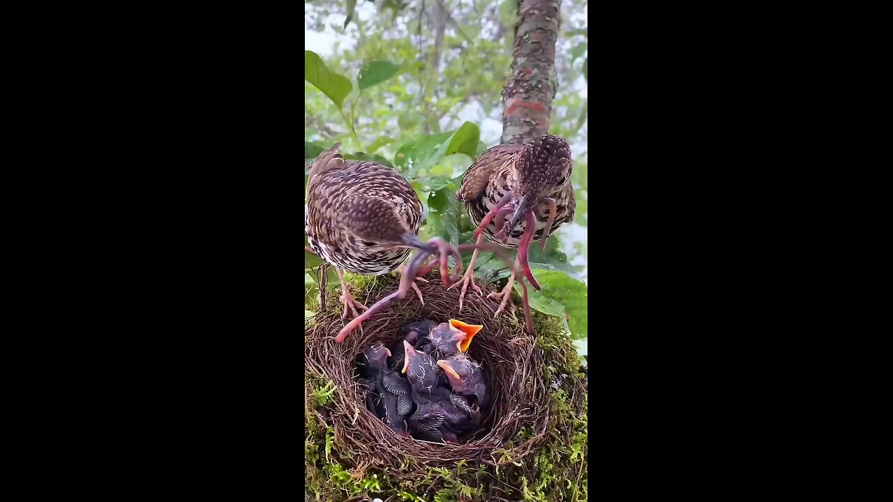 parents feed them children 😊