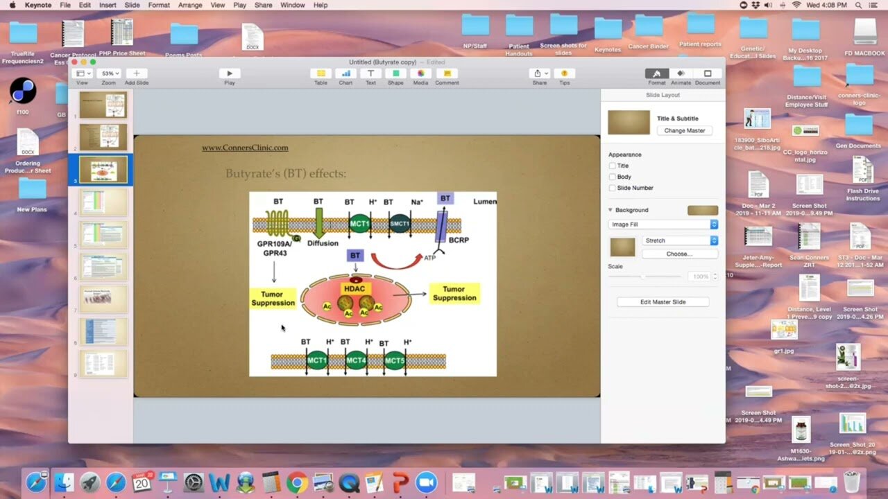 Conners Clinic - Dr. Kevin Conners - ZOOM 3-20-19 | Keeping the GUT Healthy