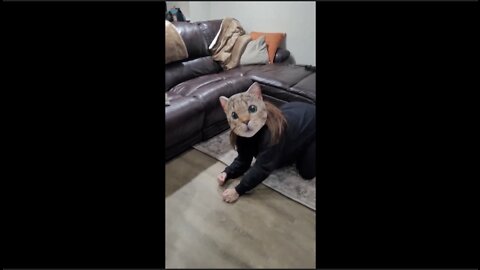 Prank my cats /I am putting on a cat mask and acting like a big cat