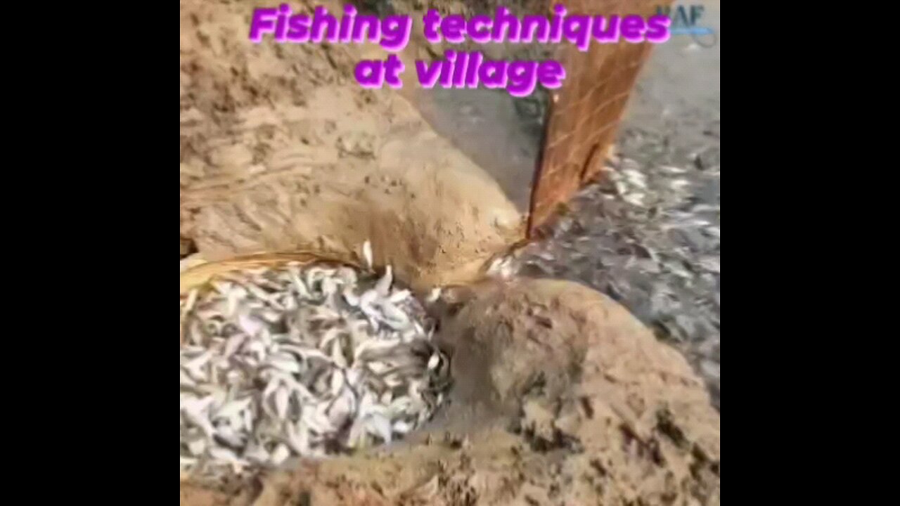 fishing techniques