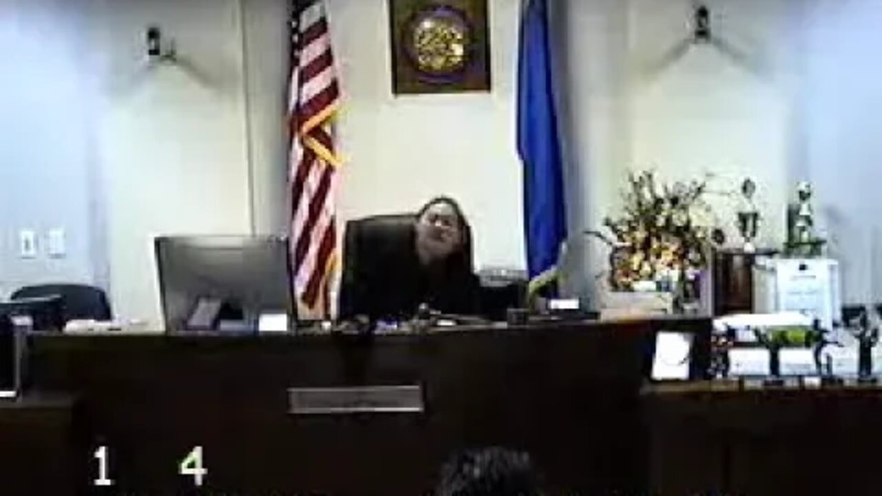 Susan Donohue matter before Clark County Family Court Judge Cheryl Moss 1/31/18