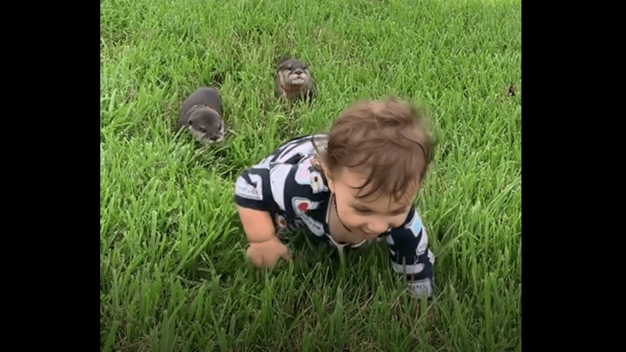 A child is playing with two baby monkeys 🐻🐻