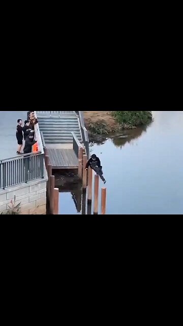 Show-off jumping between posts over water regrets his life choices!