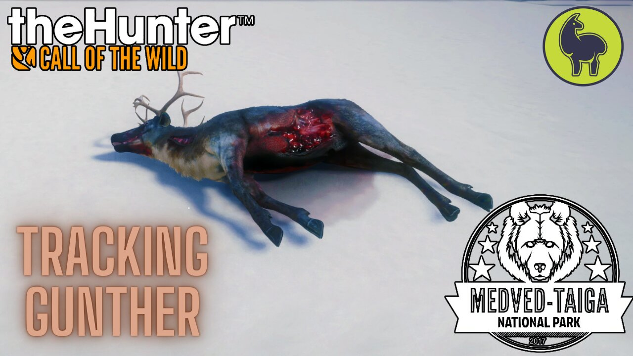 Tracking Gunther, Medved Taiga | theHunter: Call of the Wild (PS5 4K)