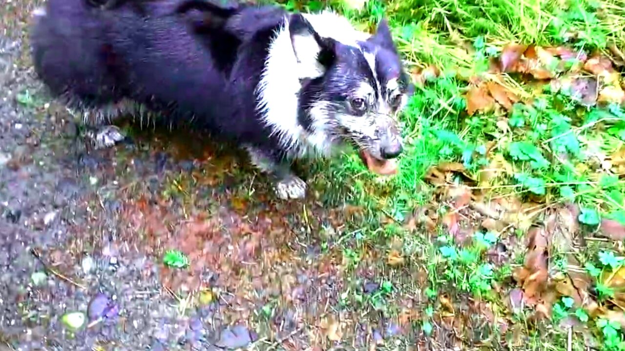 Winnie: Another hike, another mud bath