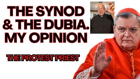 The SYNOD and the DUBIA! My opinion! - The Protest Priest