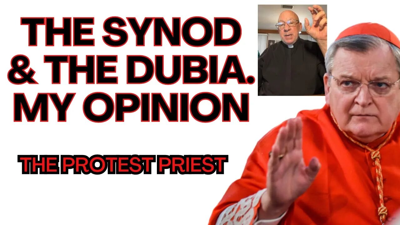 The SYNOD and the DUBIA! My opinion! - The Protest Priest