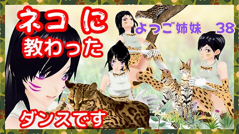 🐈うちの🐈ネコに🐈教わった🐈ダンス よつご姉妹 38