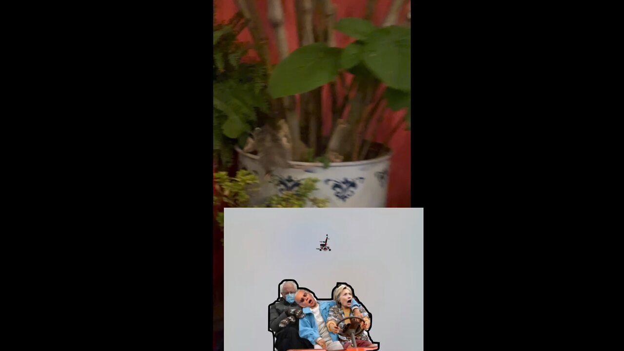 DC commy RATS ARE HIDDING!!