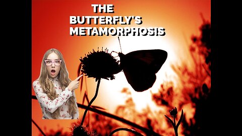 The Butterfly's Metamorphosis || तितली का कायापलट || by storytellers _haven121