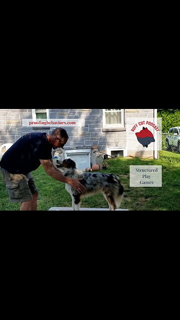 STRUCTURED PLAY GAMES Simple Puppy Push Up