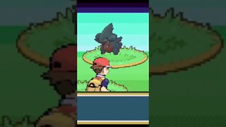 Pokémon FireRed - Wild Gible