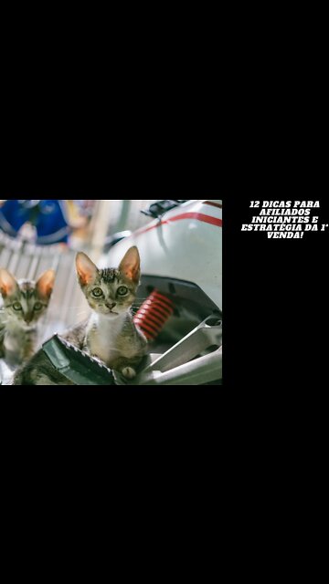 12 Dicas para Afiliados Iniciantes e Estratégia da 1ª Venda!