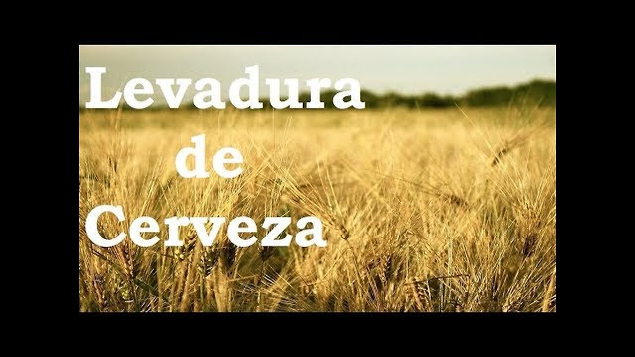 LEVADURA DE CERVEZA SUS INCREIBLES BENEFICIOS