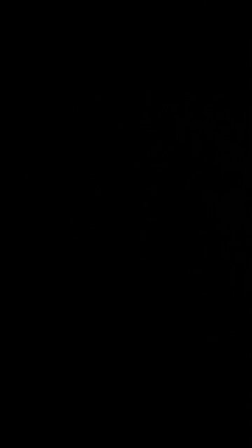 Beverly Hills California