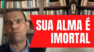 A IMORTALIDADE DA ALMA | Rodrigo Silva