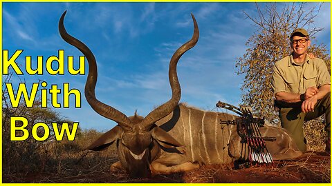 Kudu with Bow