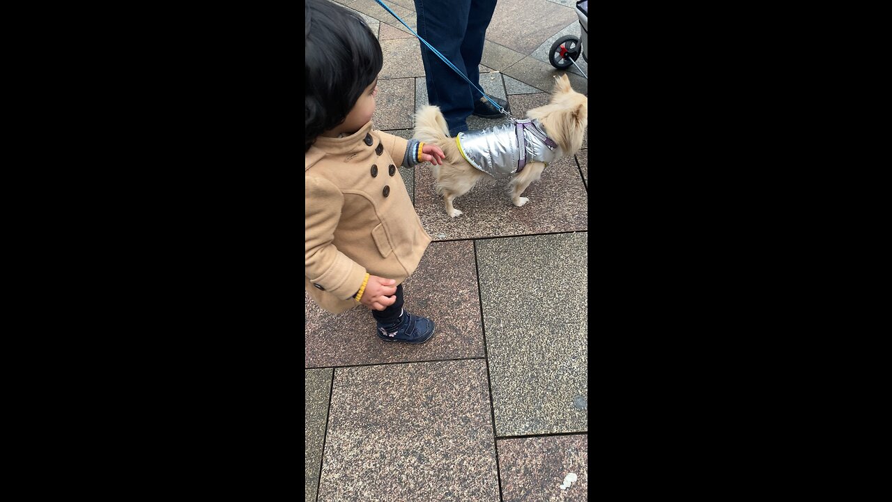 Cute baby playing with dog