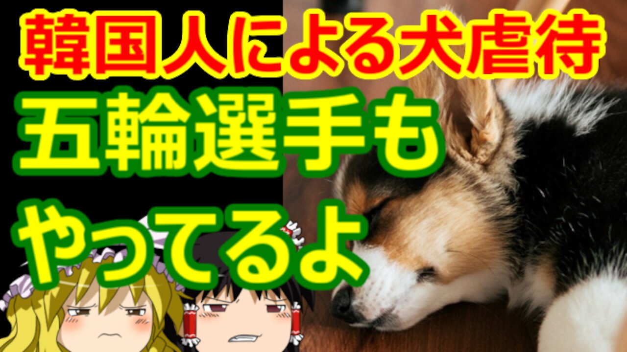 Chat in Japanese #396 2021-Aug-3 "Animal Abuse Nation"