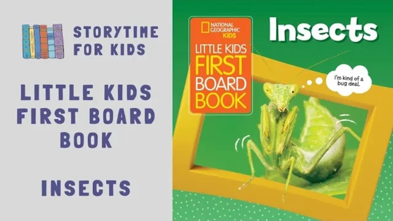 @Storytime for Kids | National Geographic Kids | Little Kid's First Big Board Book | Insects