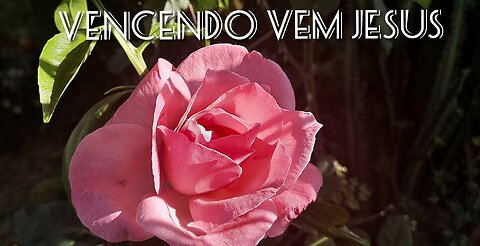 🙏🏻🌷Jardim de Louvor-25-(Vencendo vem Jesus=Hinário IASD 152)🙏🏻🌷