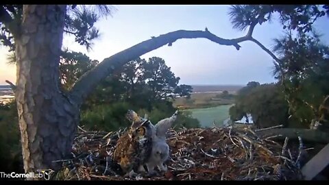 Sunrise Breakfast 🦉 3/17/22 07:18