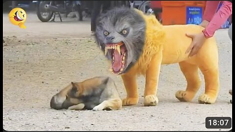 Funniest Dog Prank! Scary lion Prank