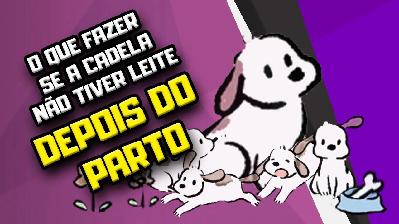 Que fazer quando a cachorra não tem leite para amamentar após o parto? Semana Especial Dia das Mães