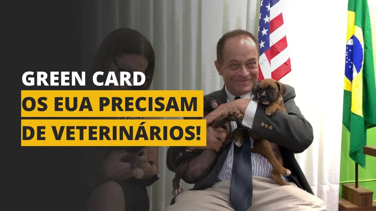 GREEN CARD PARA VETERINÁRIOS!