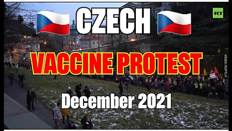 Czechs 🇨🇿 Vexing Protest
