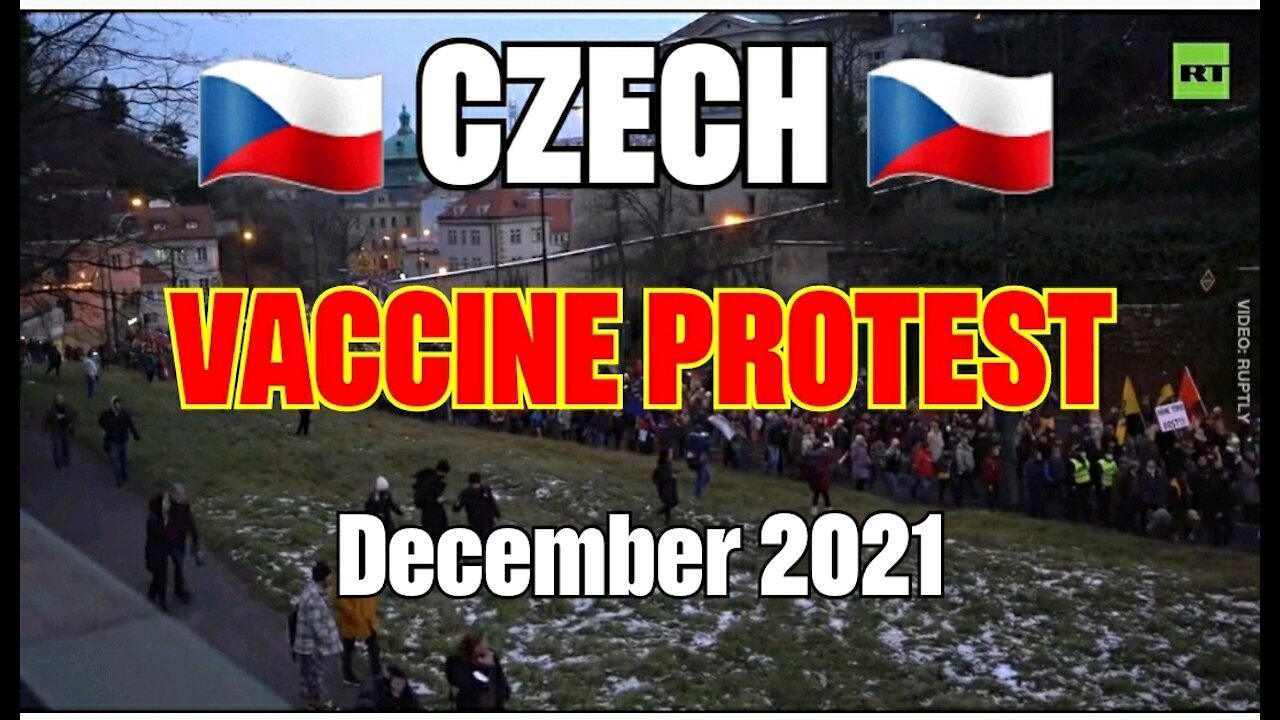 Czechs 🇨🇿 Vexing Protest