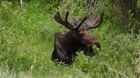 Fields Of Climate Destruction