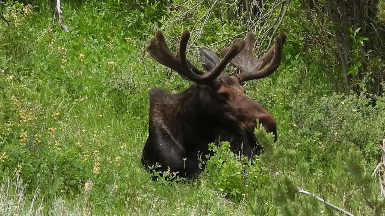 Fields Of Climate Destruction