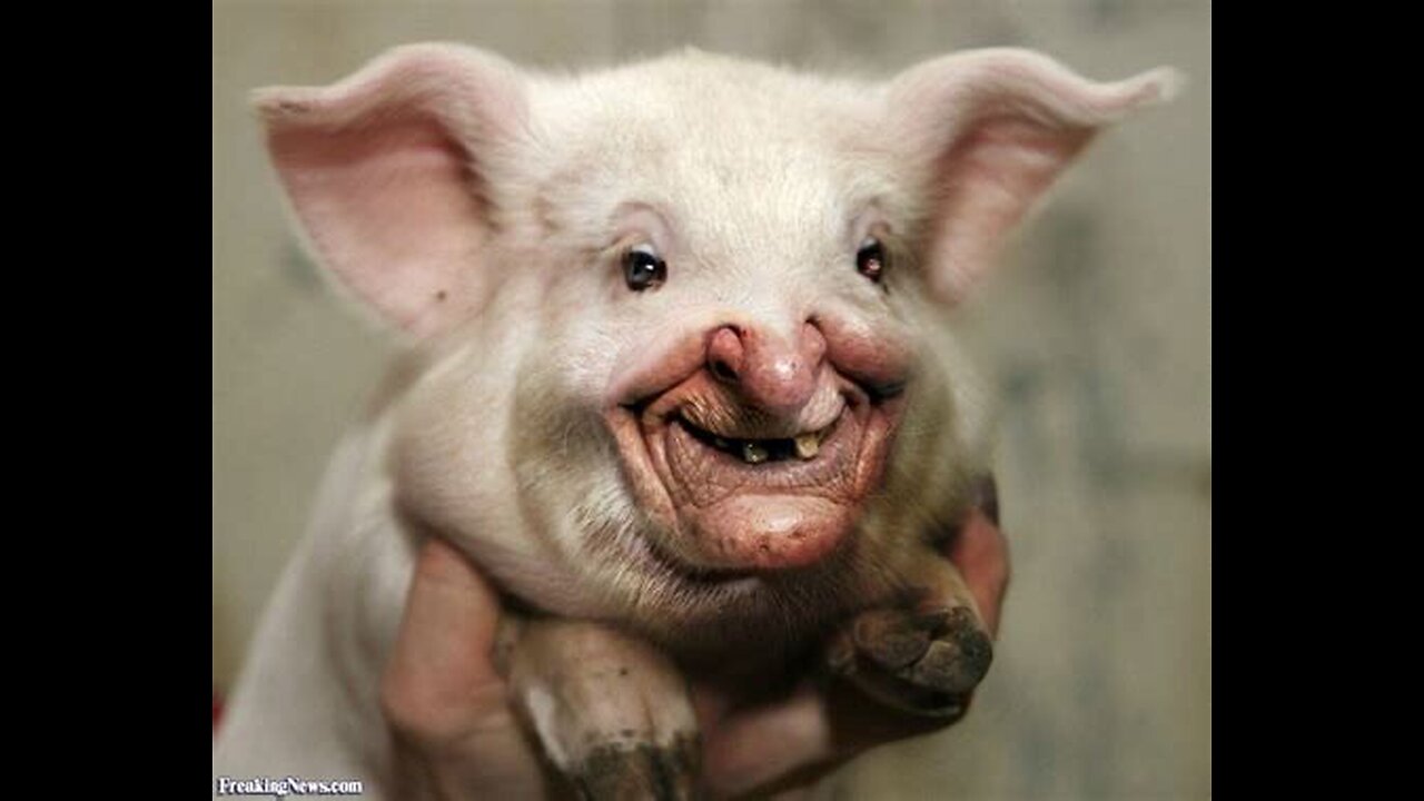 THE DARK OUTPOST # 1