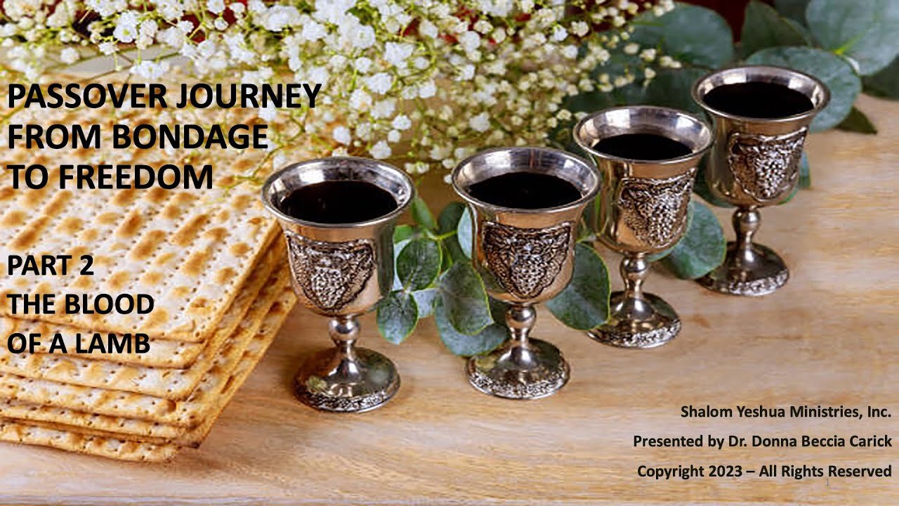 Passover Journey from Bondage to Freedom - Part 3 - Yeshua the Lamb