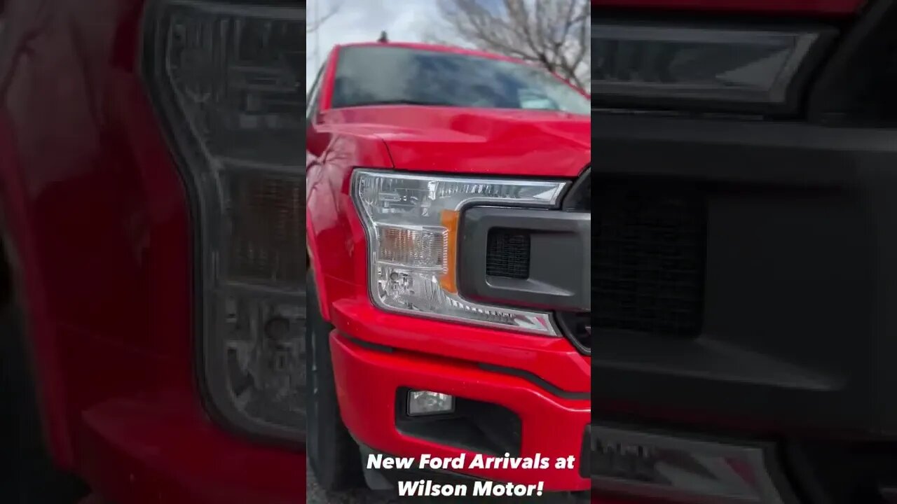 New Ford Arrivals at Wilson Motor