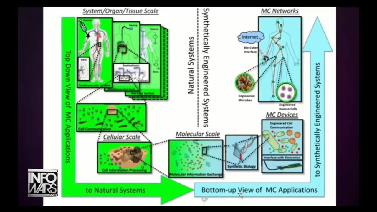 6G, Nanobots, Weaponized Bacteria and Molecular Communication