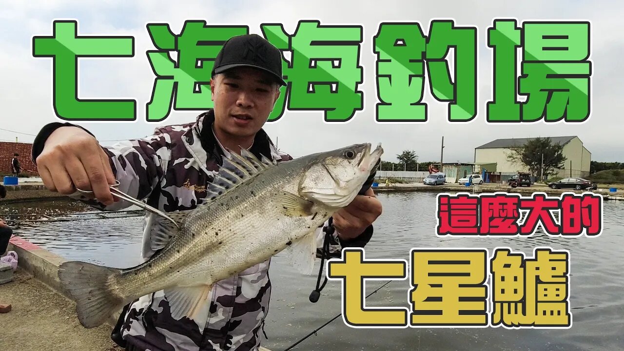 【台客去釣魚】初次來到的海釣場!這天咬況花花咬,還好還挖了十隻起來! feat.七海海釣場