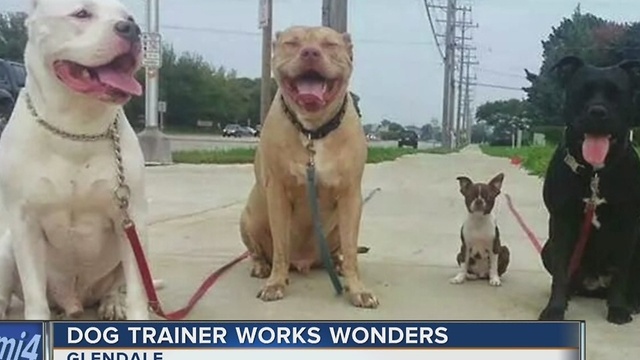 Local dog trainer works wonders