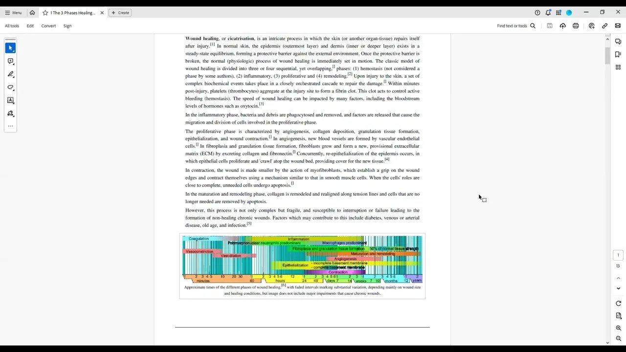 Science 3 Phases Healing