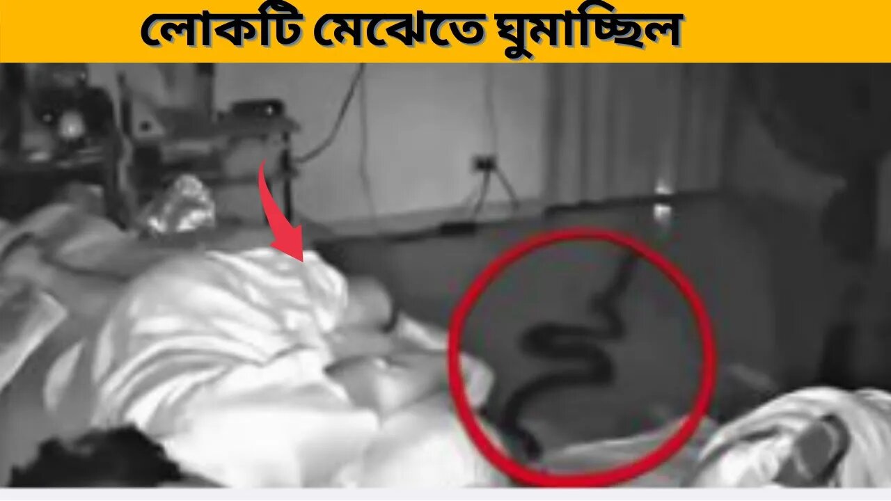 সি সি ক্যামেরায় রেকর্ড হওয়া কিছু শিউরে ওঠার মত ঘটনা।