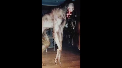 Skinwalker