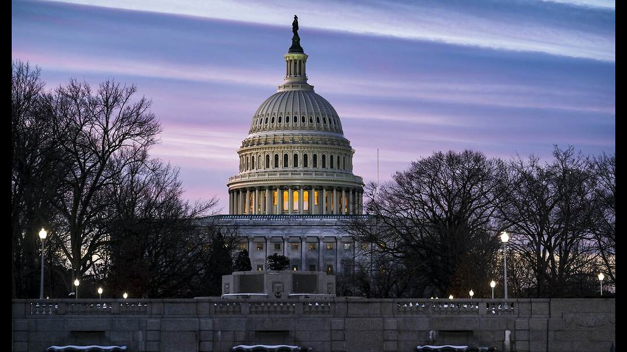 US Capitol Police Arrest Man Carrying Flare Gun and Manifesto After Smelling Fuel in His Bag