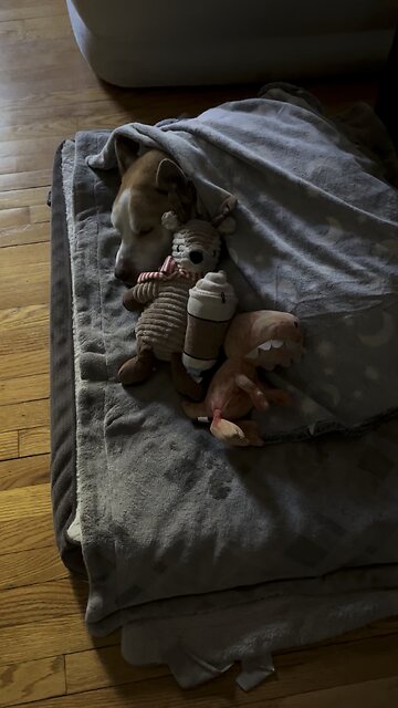 😭 leaving for work is so hard