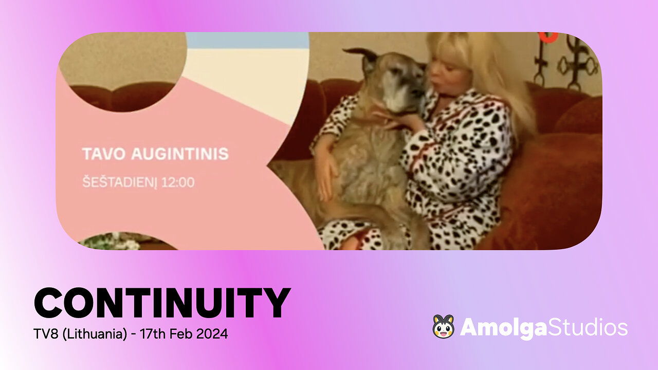 TV8 (Lithuania) - Continuity (17th February 2024)