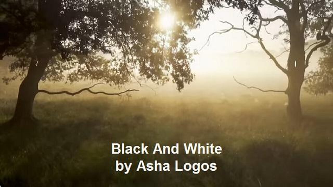 BLACK AND WHITE BY ASHA LOGOS