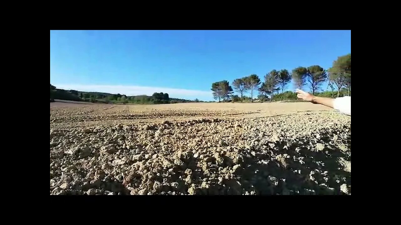 O momento de semear o grão da Consciência e da Liberdade para nós ou para as futuras gerações...