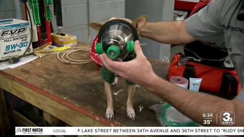 Every dog has its day and Omaha Fire Department makes sure pups live to see the next